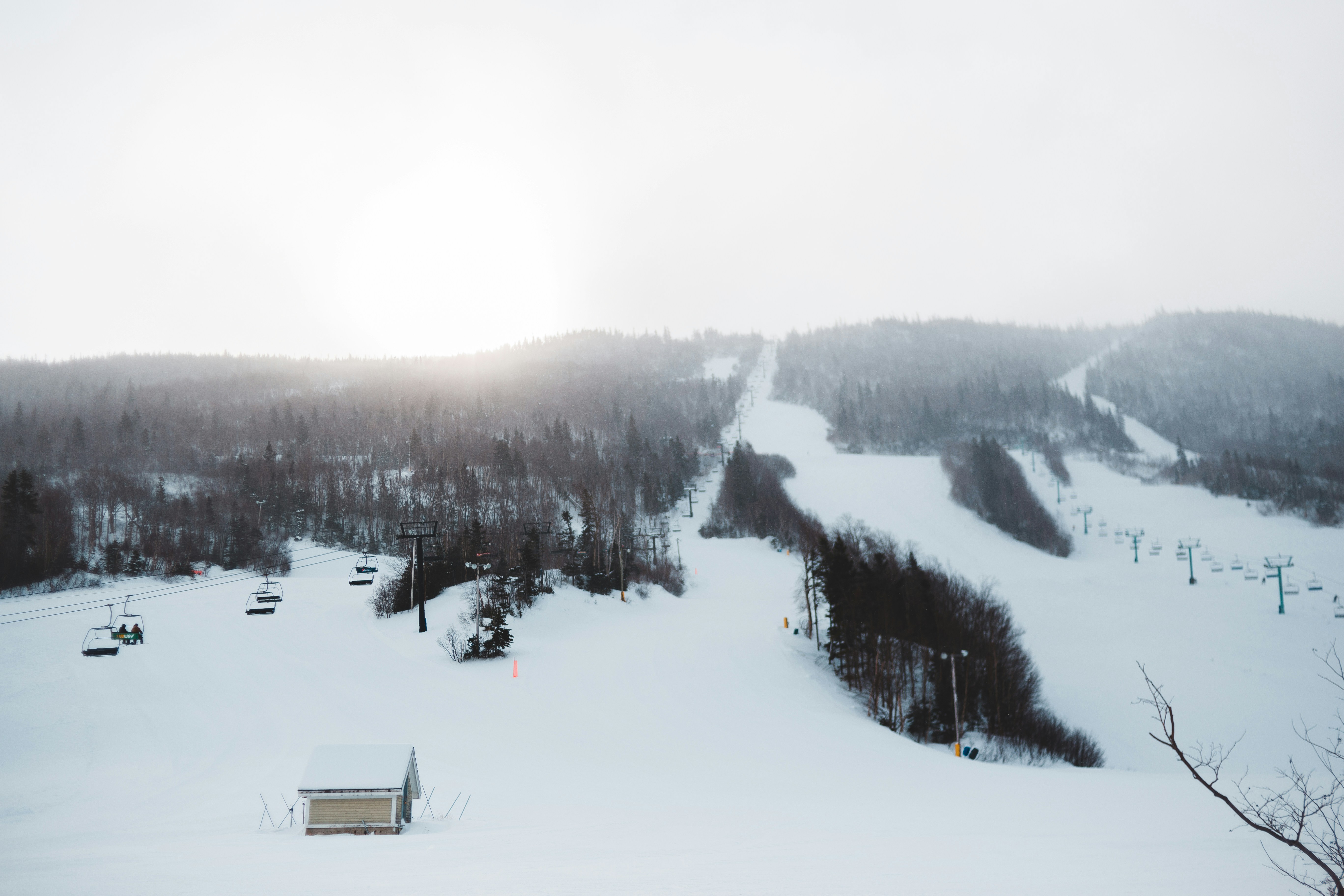 brown house on snow covered ground near trees during daytime