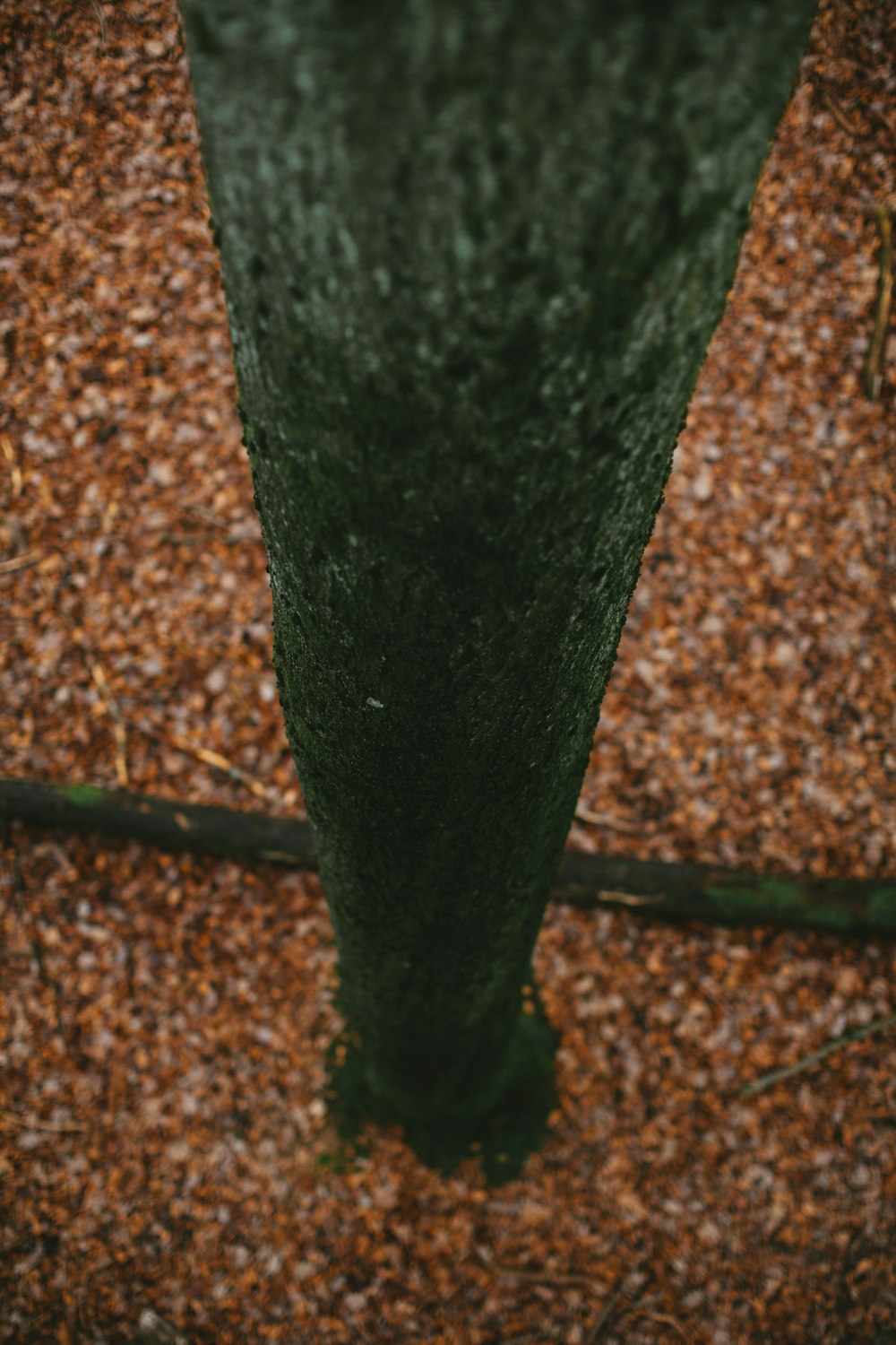 green metal pipe on brown soil