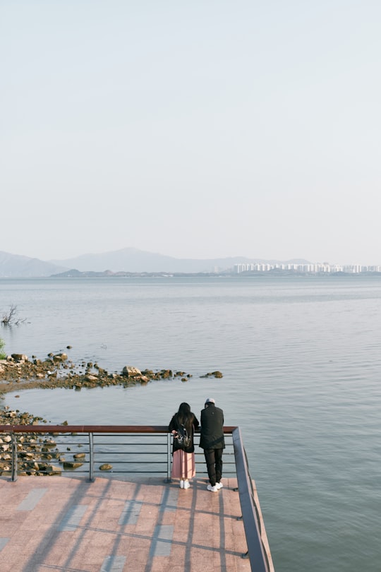 people standing on dock near body of water during daytime in Shenzhen Bay Park China