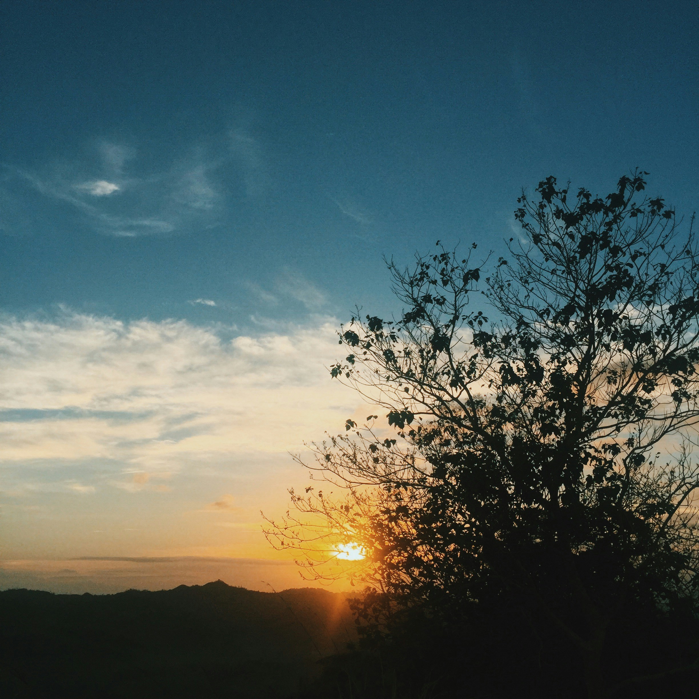 Photo by lealuminarias