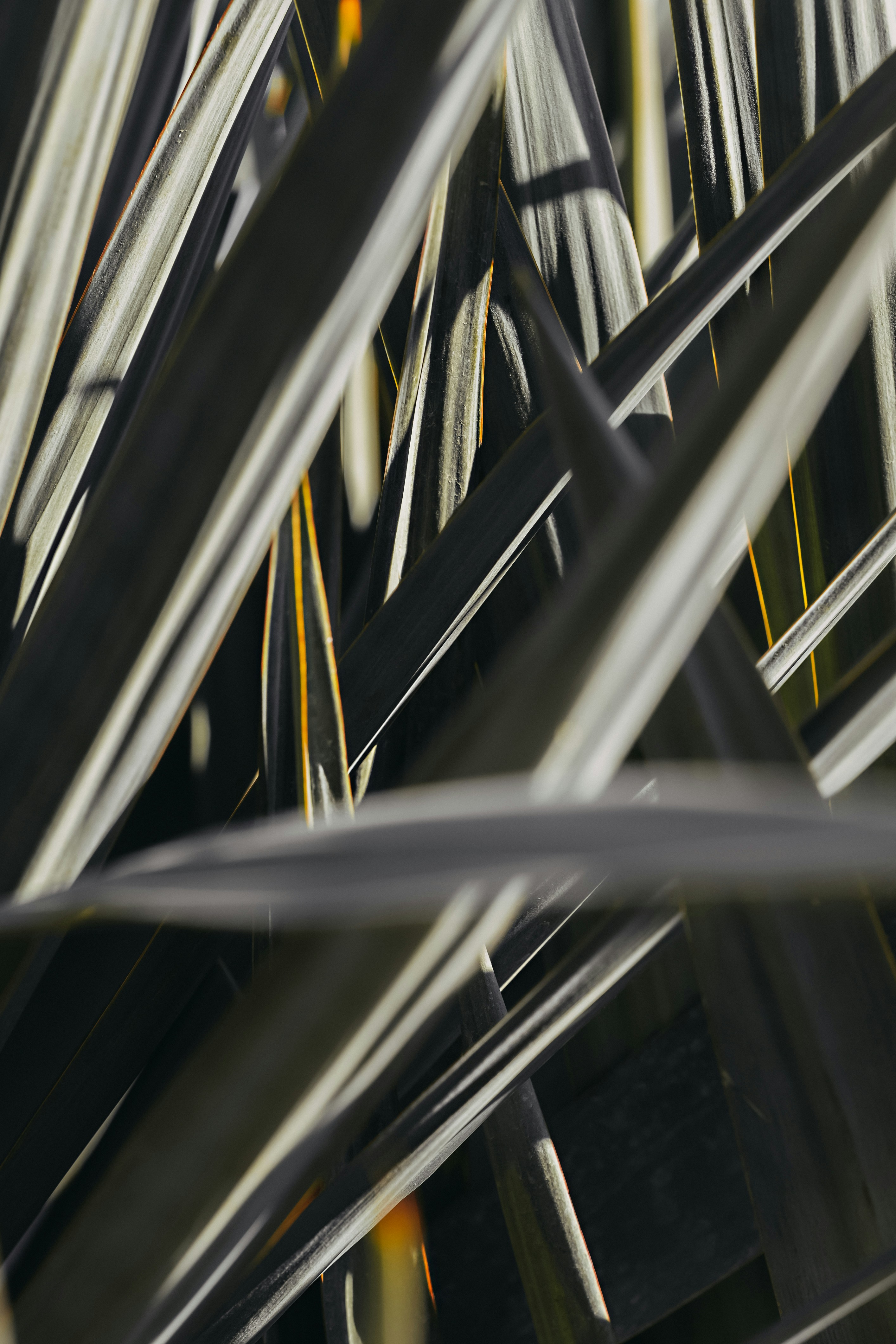 Photo by itsomidarmin