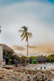 A serene beach scene with a tall palm tree swaying gently in the breeze. In the background, rustic thatched huts are set against the soft glow of an overcast sky. The shoreline is rocky, and a few people are casually walking, adding a sense of liveliness to the tranquil environment.