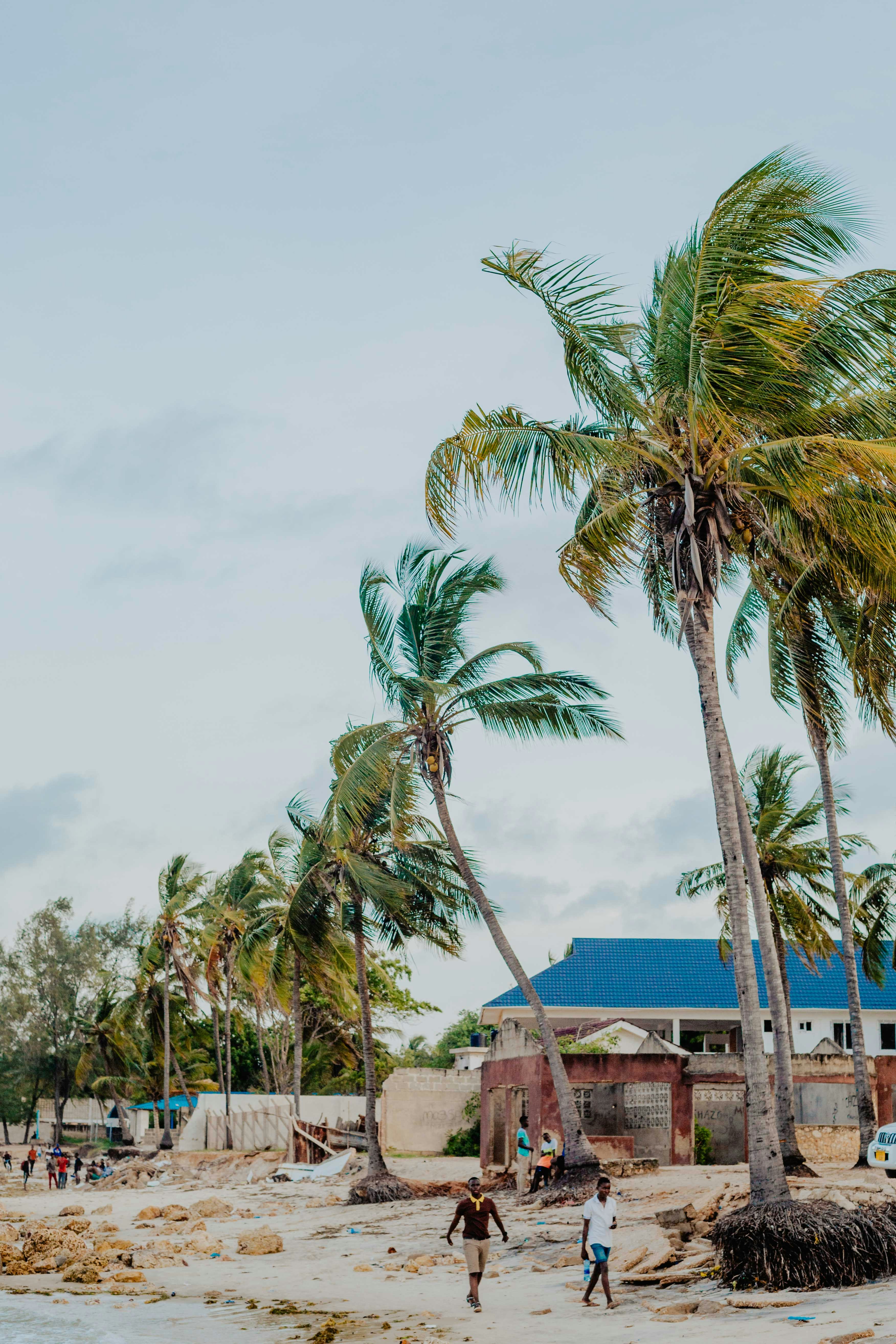 Photo by realist_shotz