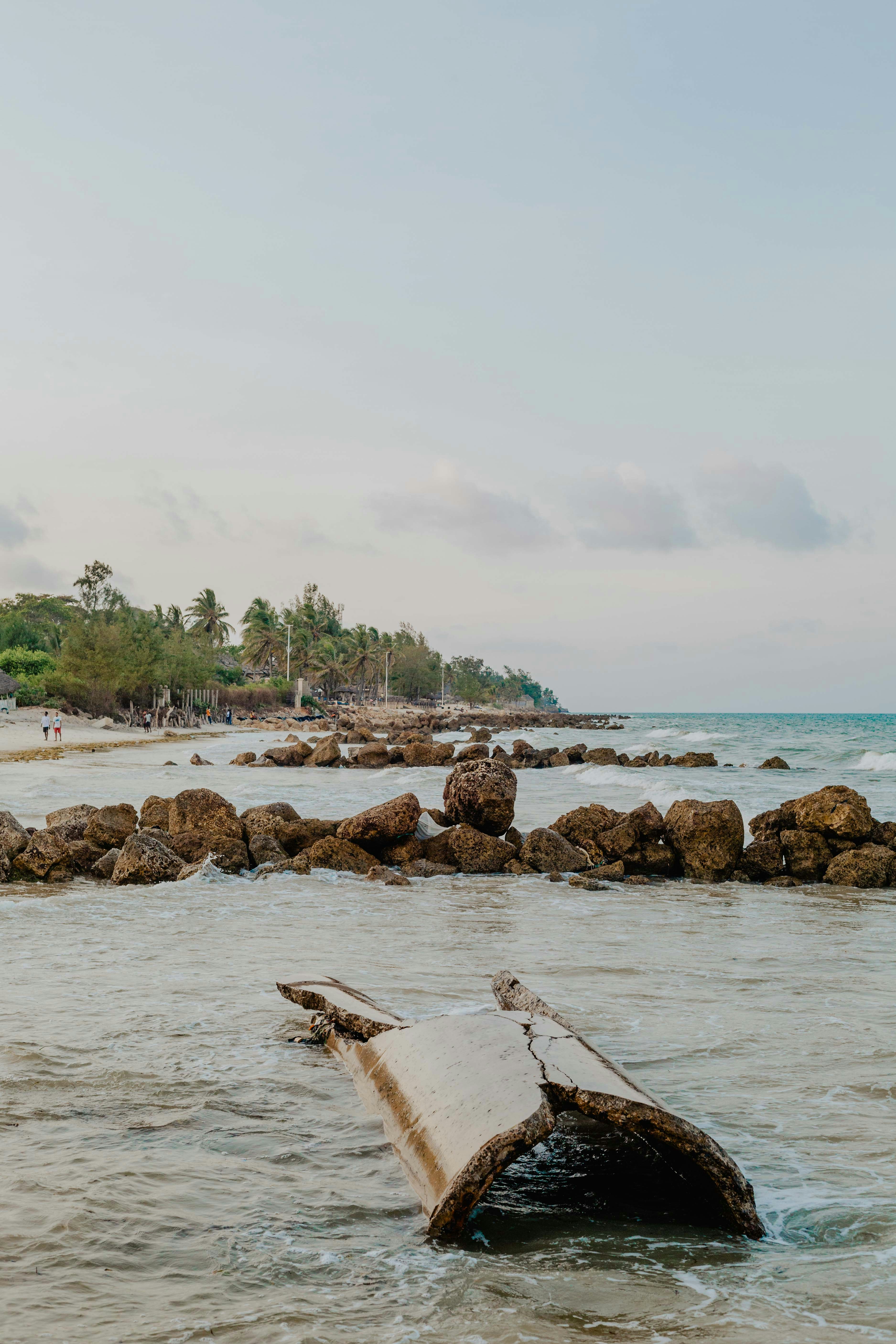 Photo by realist_shotz