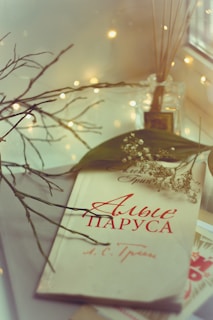 A book with a cover featuring red Cyrillic text is placed on a surface, surrounded by delicate dried branches and small white flowers. The background has soft, warm lighting with a decorative glass jar and reed sticks, creating a cozy and inviting atmosphere.