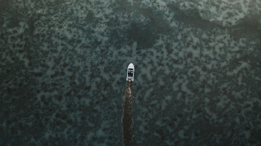 white and blue boat on body of water during daytime