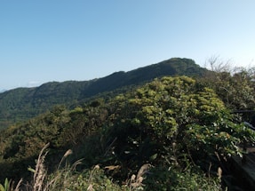 A lush, green landscape with dense foliage covers a hilly terrain under a clear blue sky. The vegetation varies in color, suggesting a rich biodiversity typical of a wild forest or mountainous region.