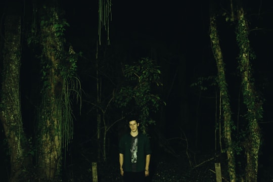 A shadowy figure standing in a deep forest illuminated by eerie green light.