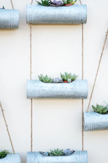 A sleek metal plant rack filled with a variety of small potted succulents