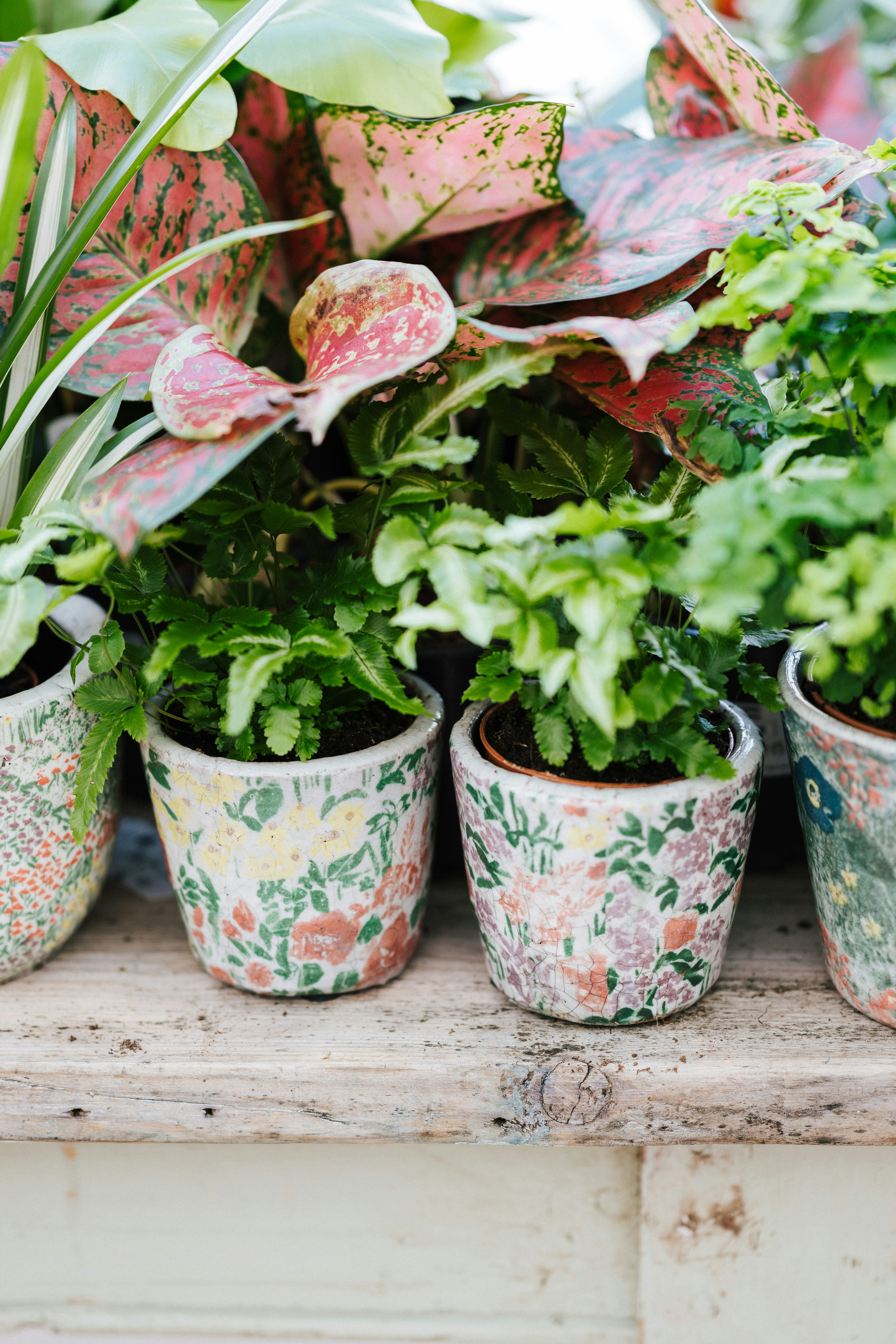 Photo by anniespratt