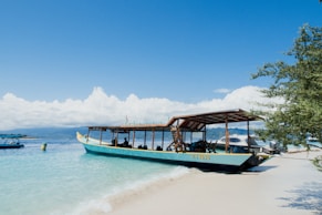 blue and white boat on beach during daytime