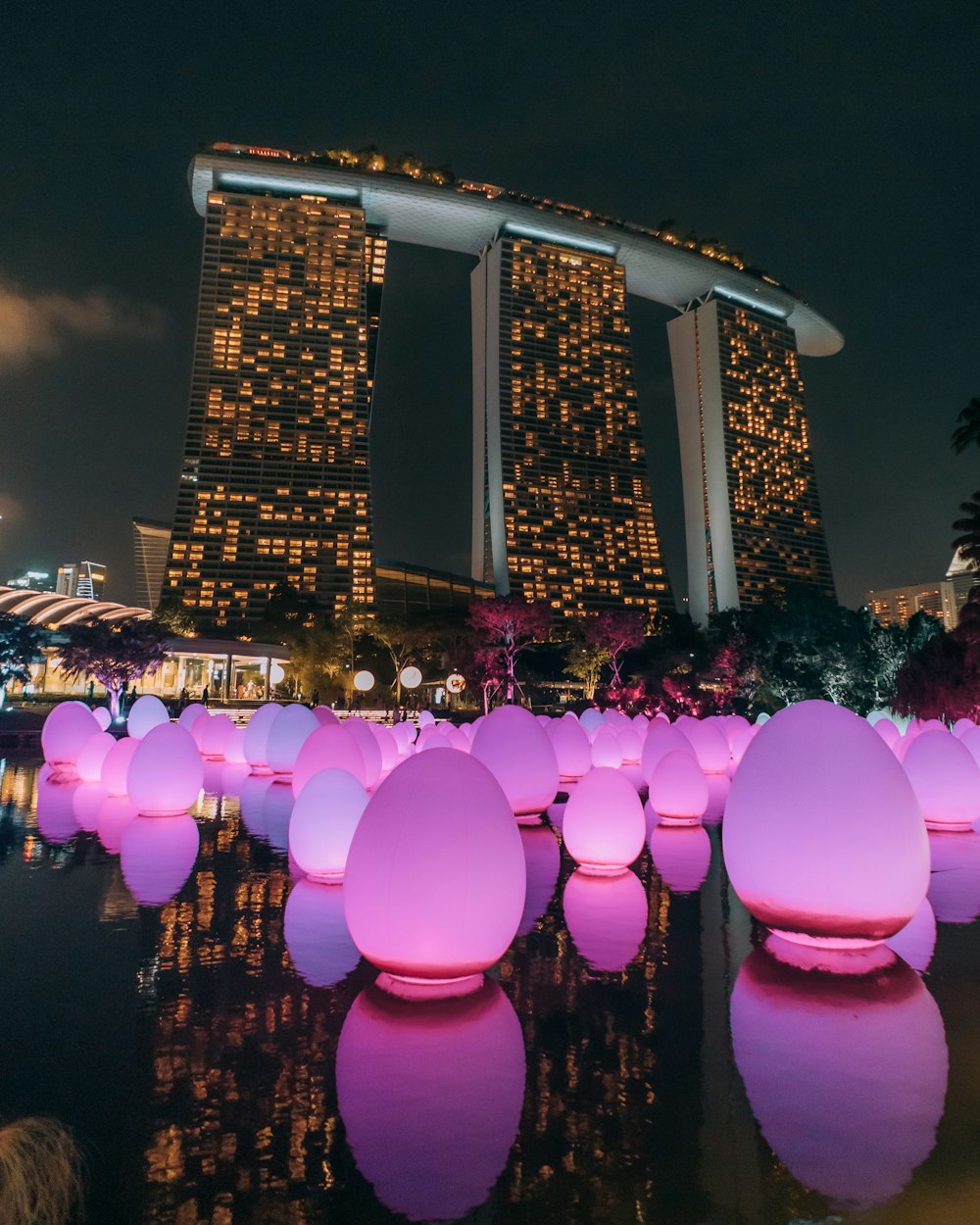 purple and pink balloons on park during night time