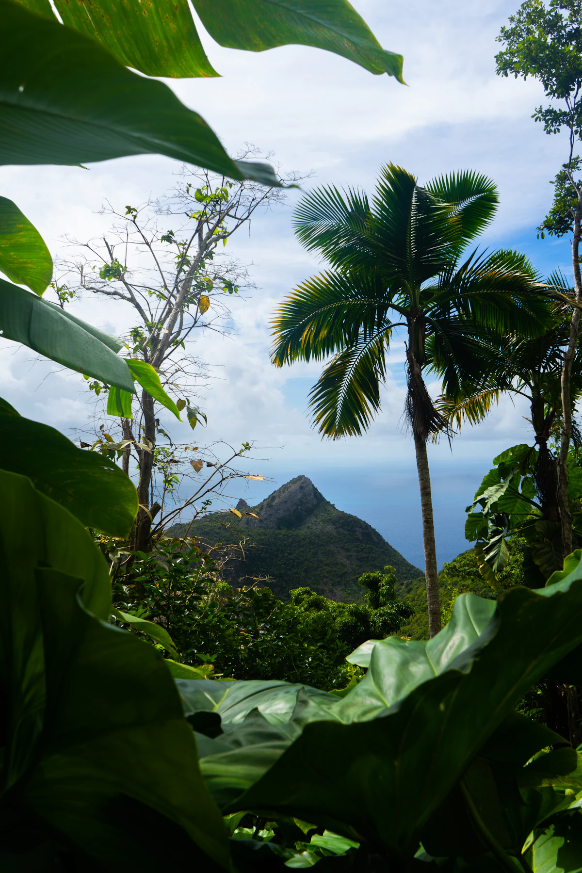 Nevis Peak
