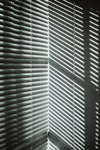 Zebra Blinds