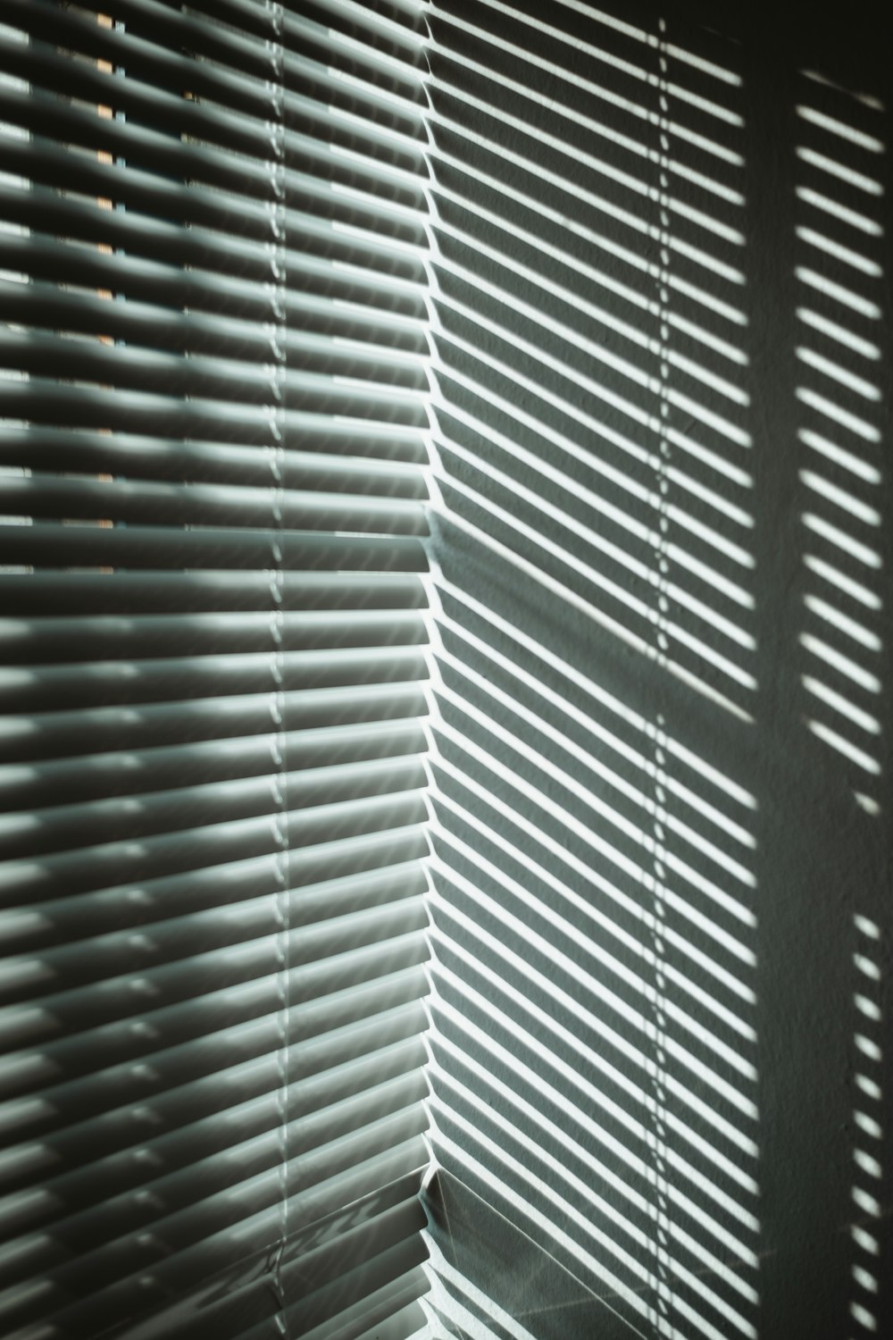 white window blinds during daytime