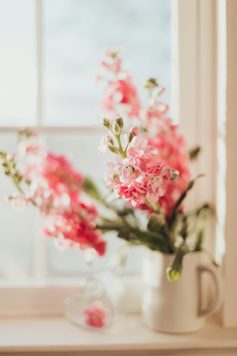 red and white flowers in tilt shift lens