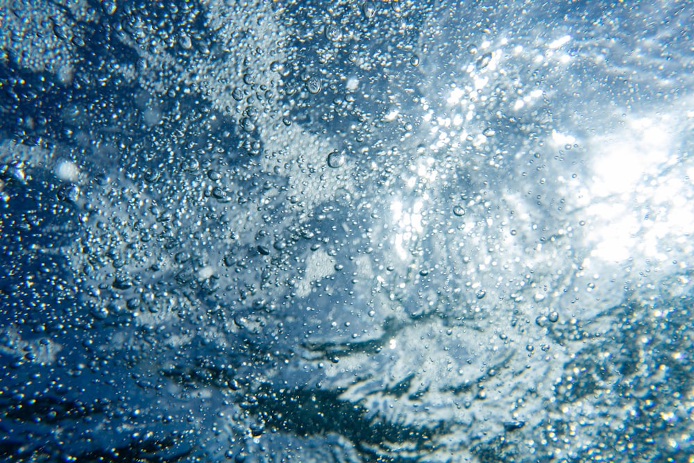 water splash in close up photography