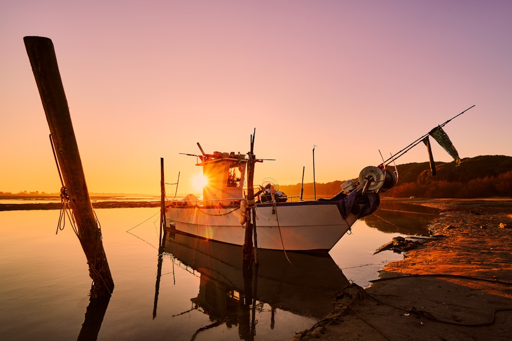 white and black boat on sea shore during sunset