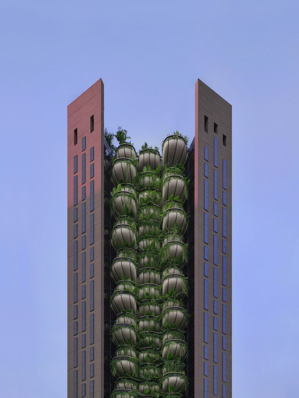 green cactus plant on brown concrete wall