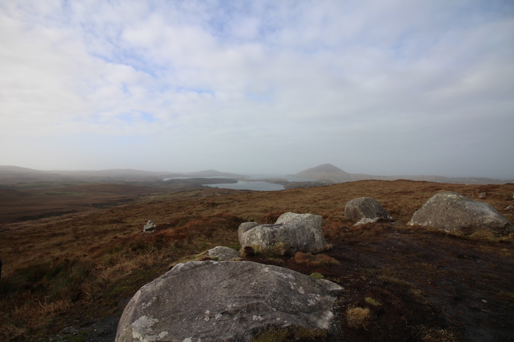 gray rock formation on brown grass field under white cloudy sky during daytime