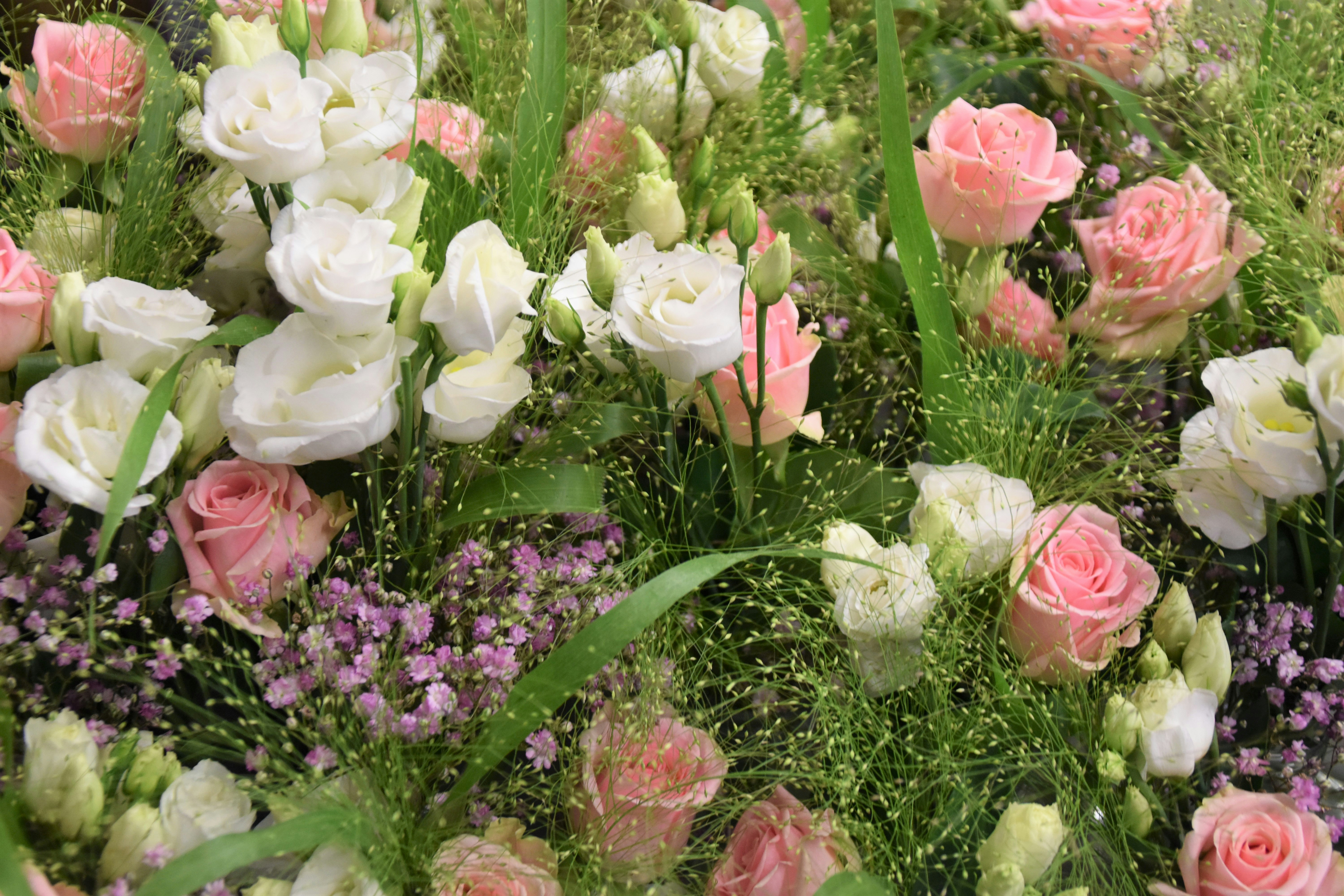 Pink roses and white lilies in elegant bouquet with green foliage
