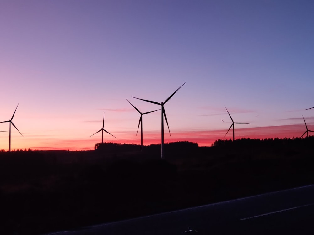 wind turbines during golden hour