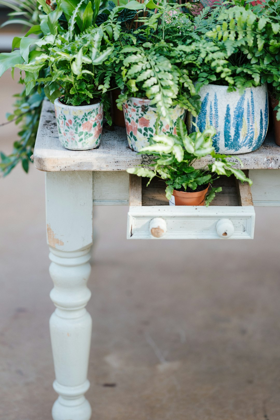 green plant on white ceramic pot