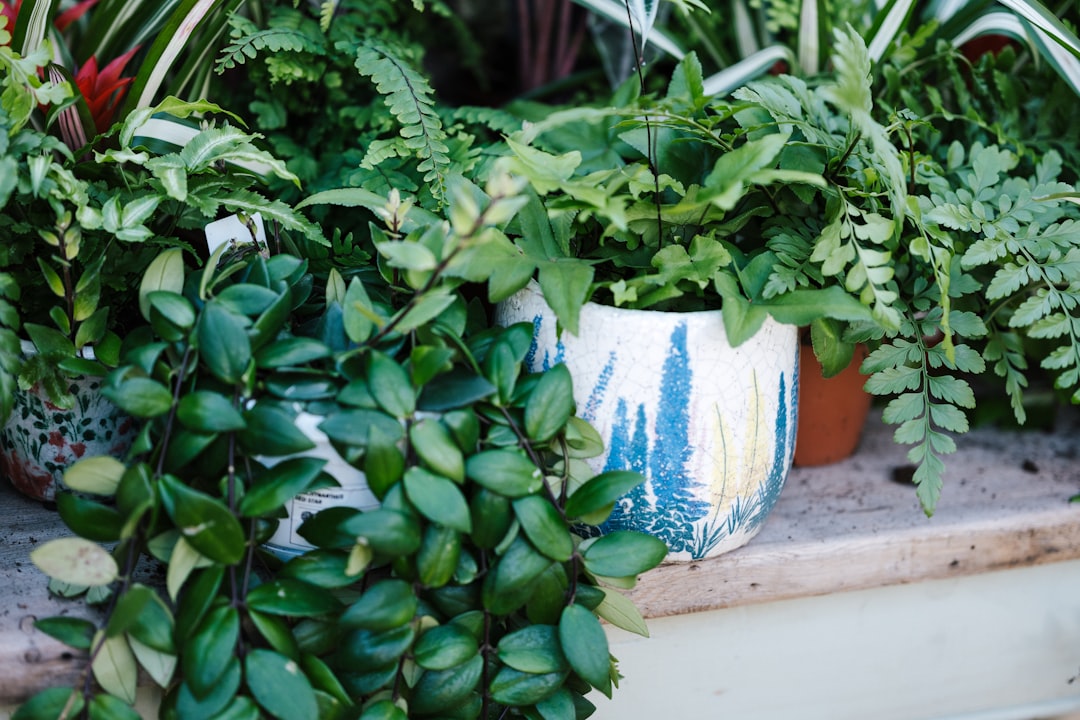 green plant in blue ceramic pot