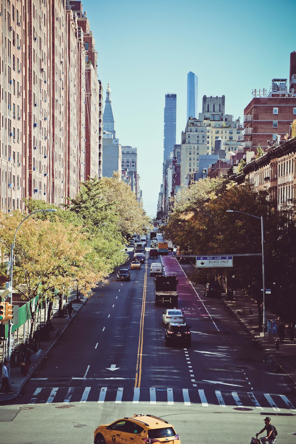 cars on road between high rise buildings during daytime