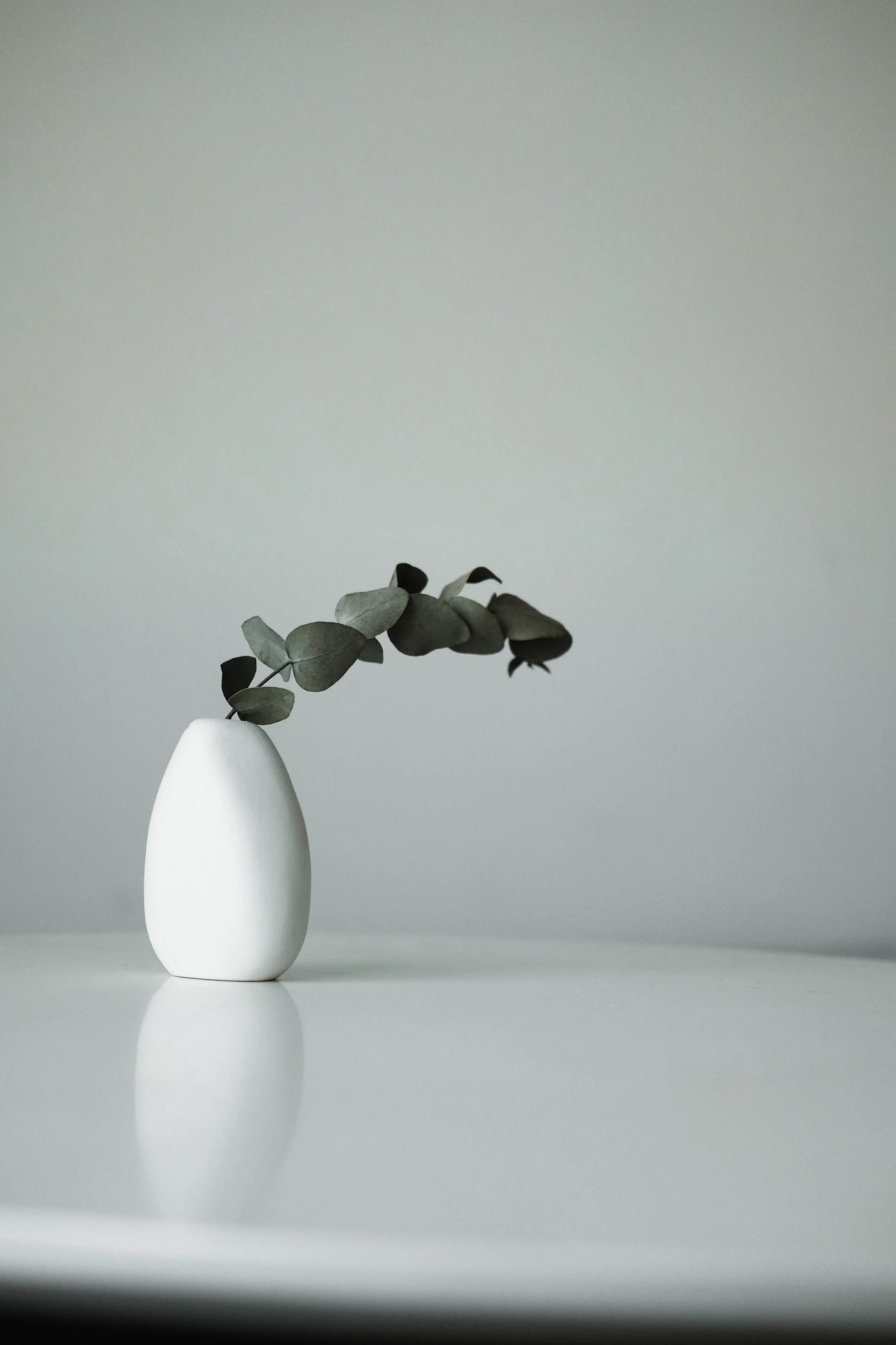 Witte bloem in een keramische vaas