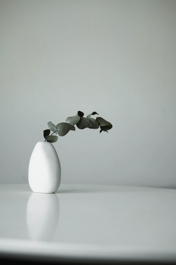Sanganer Matte Terracotta Vessel Lifestyle