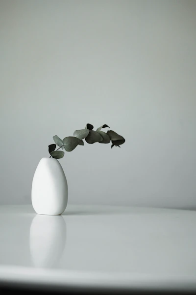 Ceramic Vase