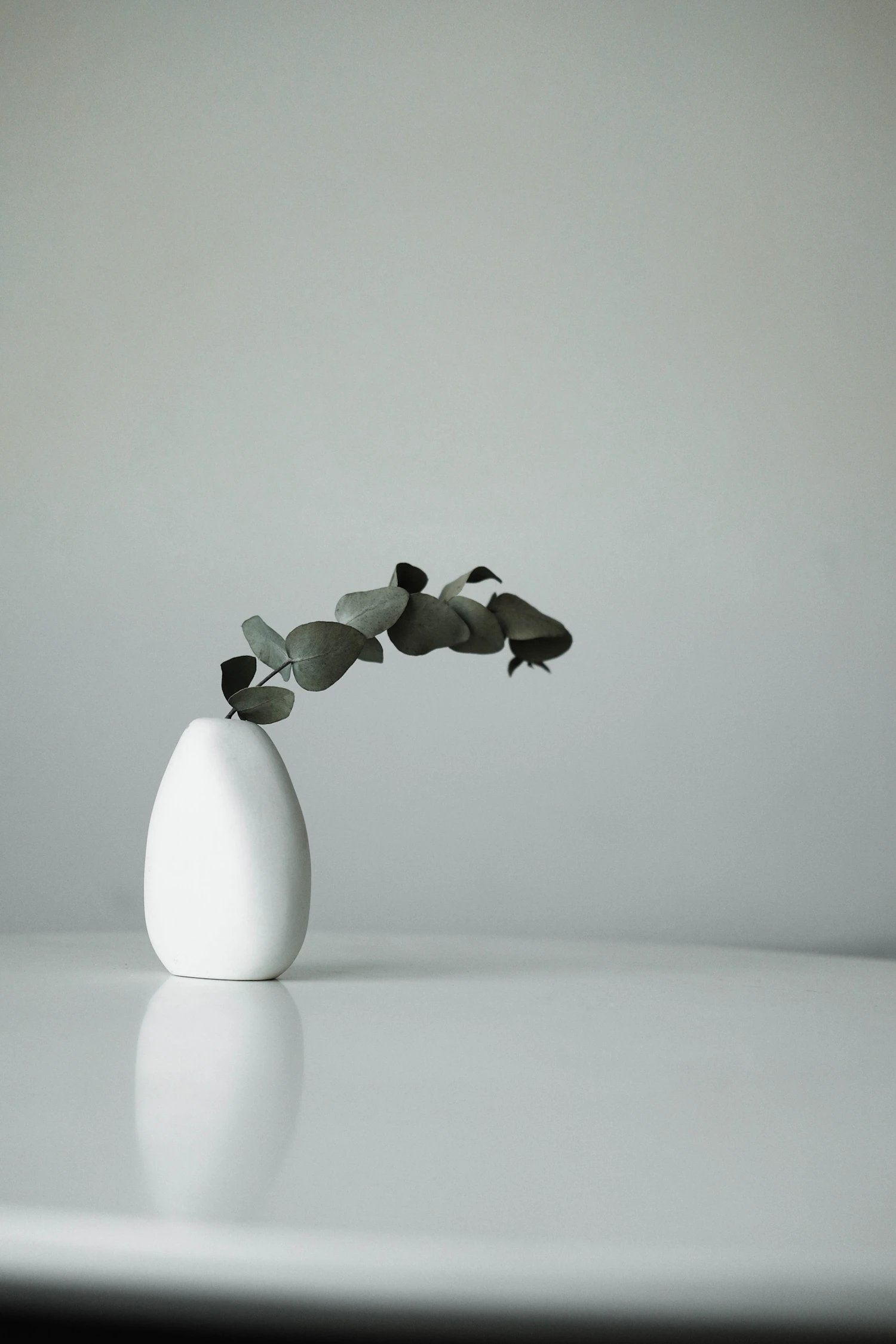 Ceramic Statement Vase