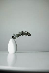 Seahorse Set