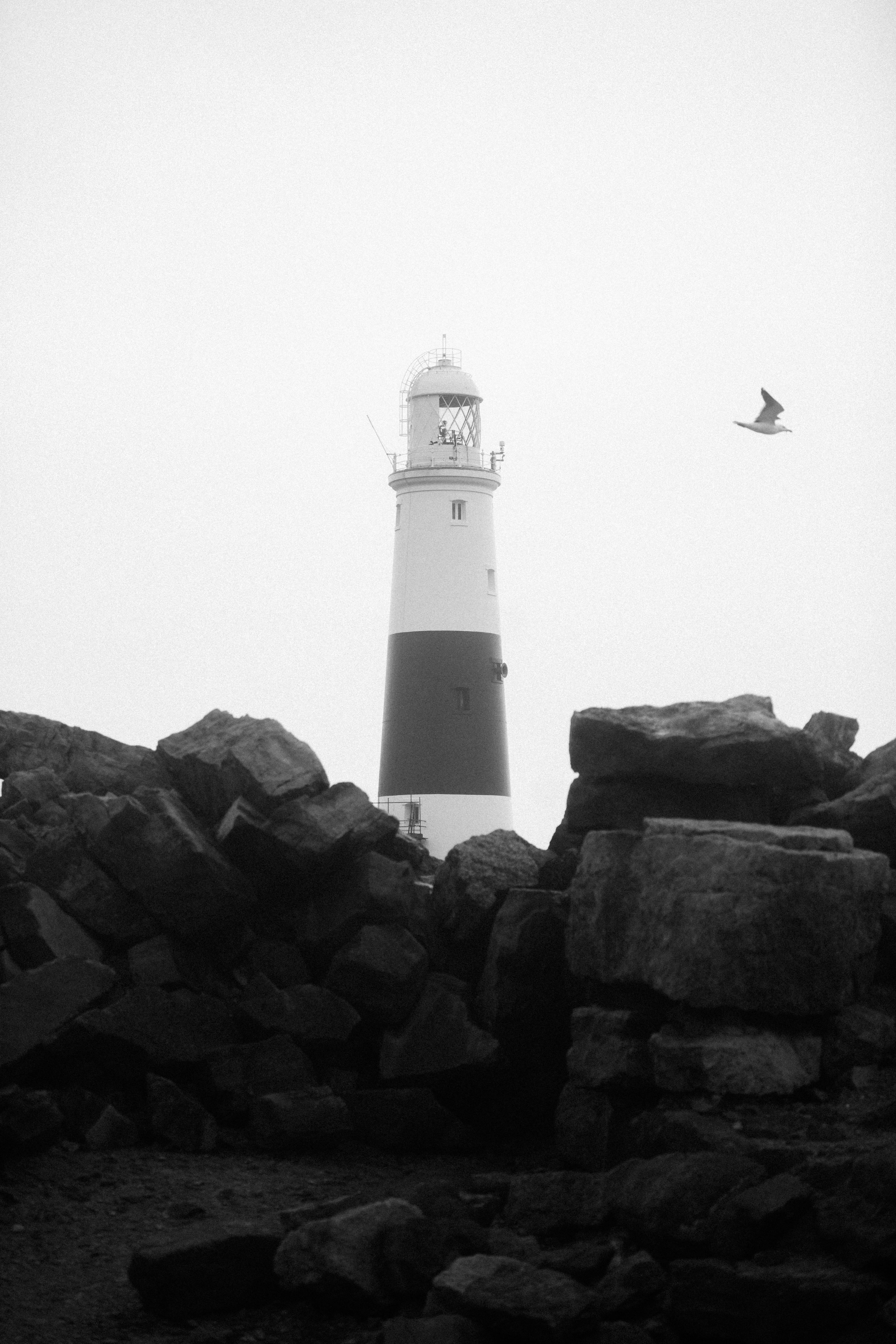 white and black lighthouse on rocky shore