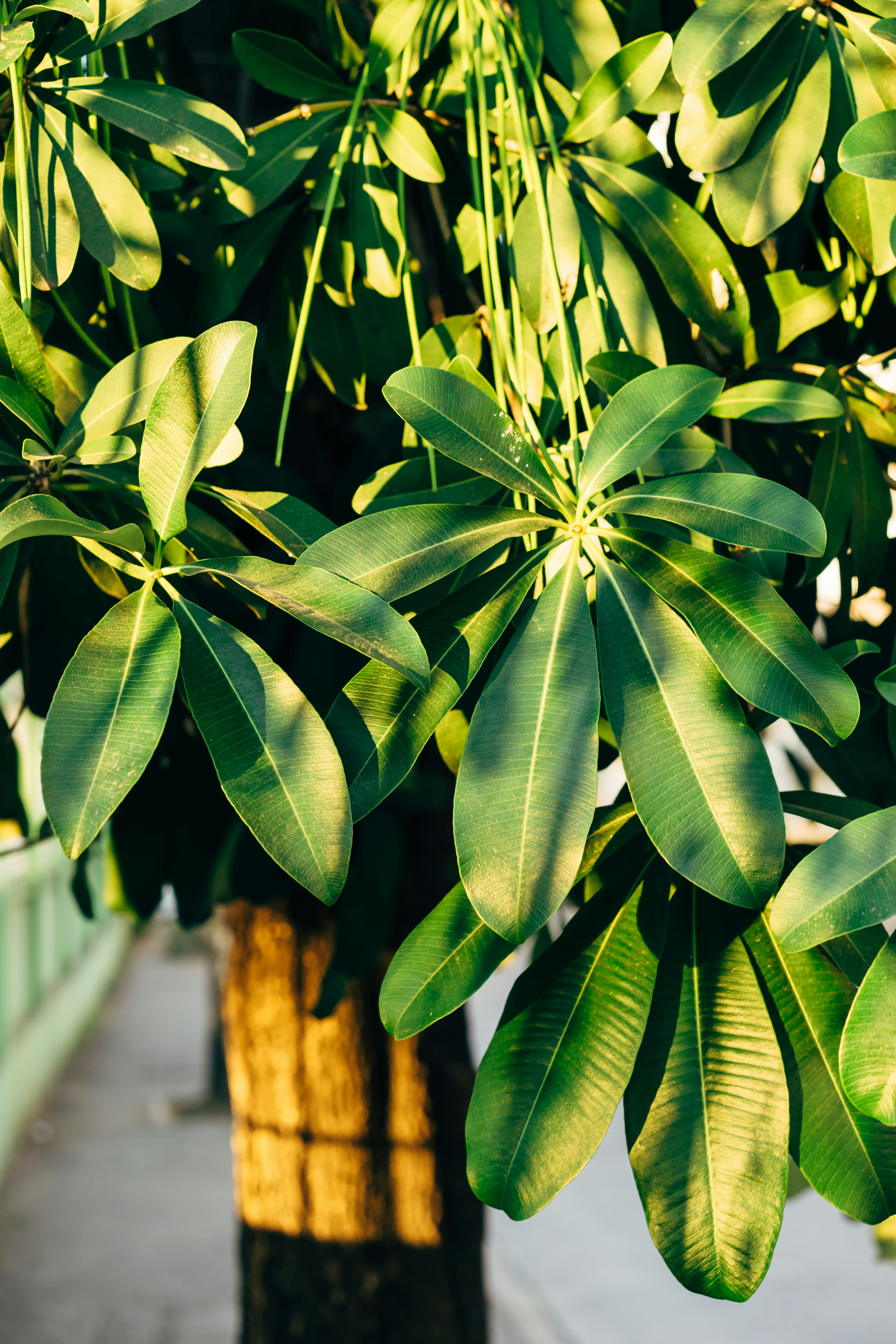 Photo by markuswinkler