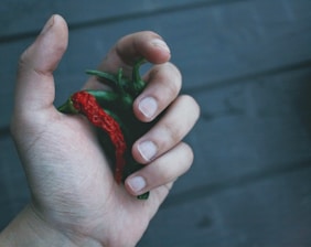 A hand holding several small red and green chili peppers against a dark, textured background. The hand is positioned in a way that the fingers are gently curled around the peppers.
