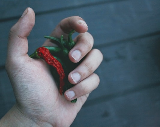 A hand holding several small red and green chili peppers against a dark, textured background. The hand is positioned in a way that the fingers are gently curled around the peppers.