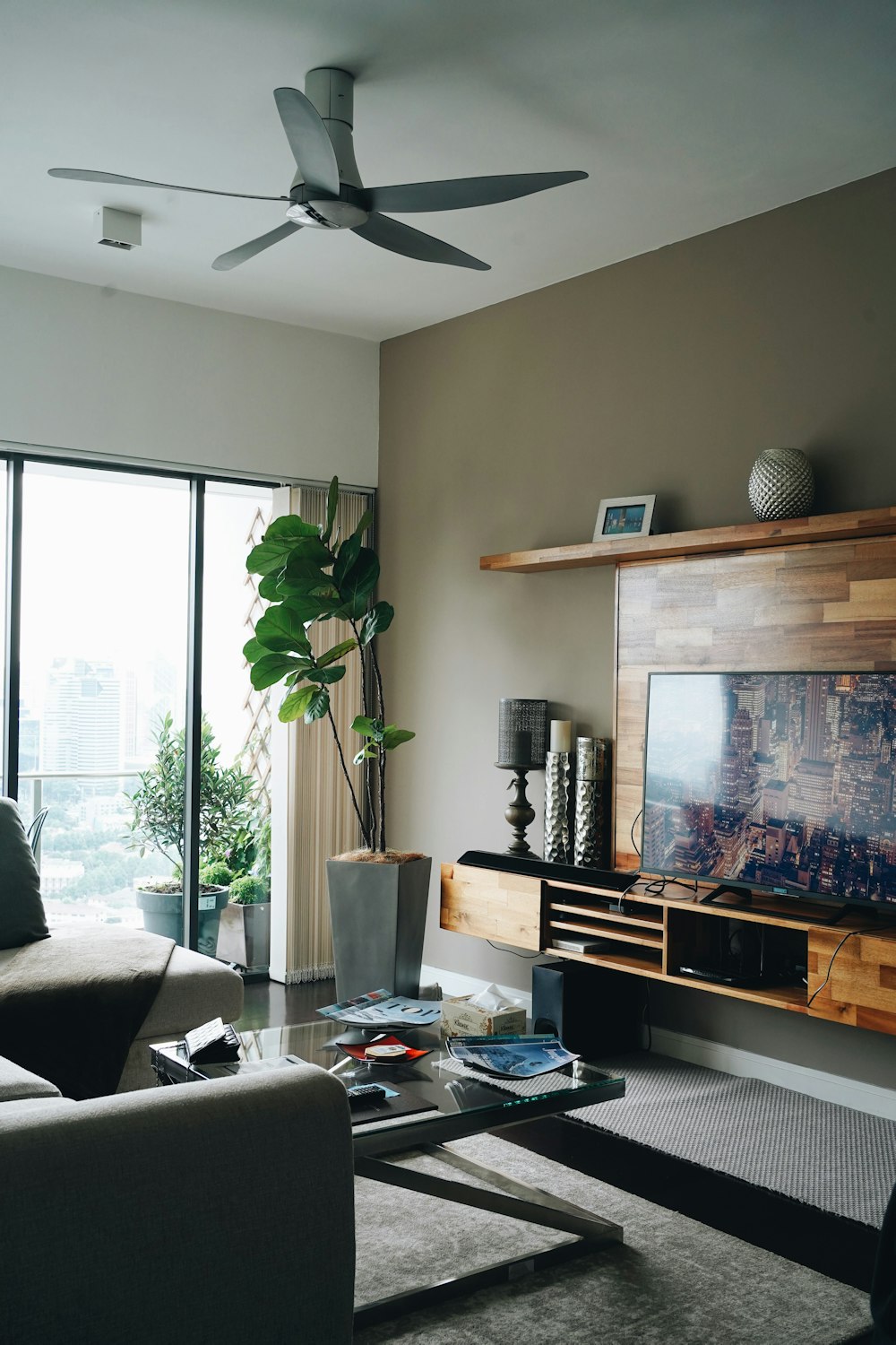 black flat screen tv turned on near green indoor plant