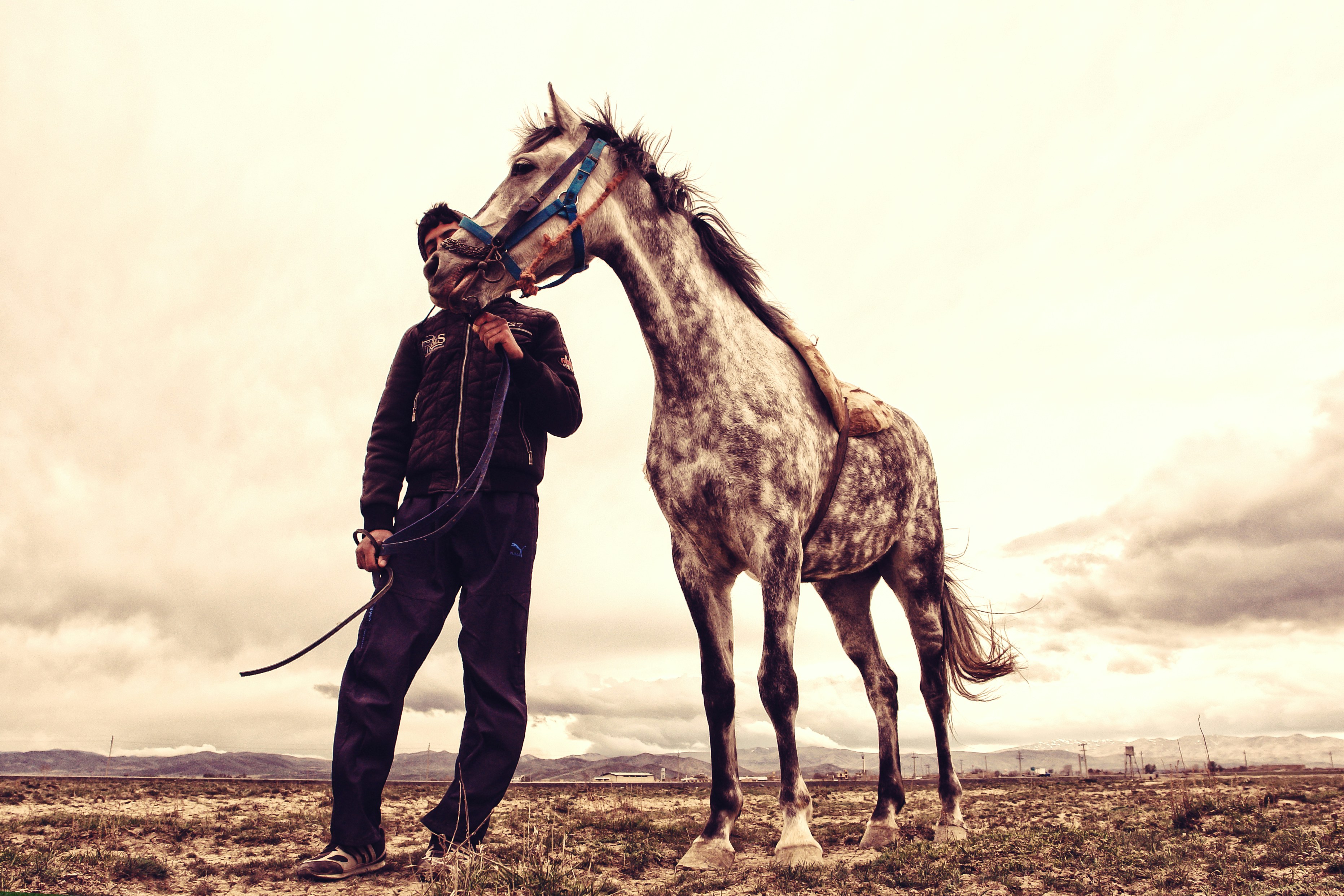 man in black jacket and pants standing beside white horse