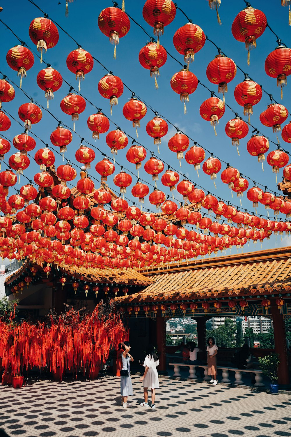 red round fruit on brown wooden roof