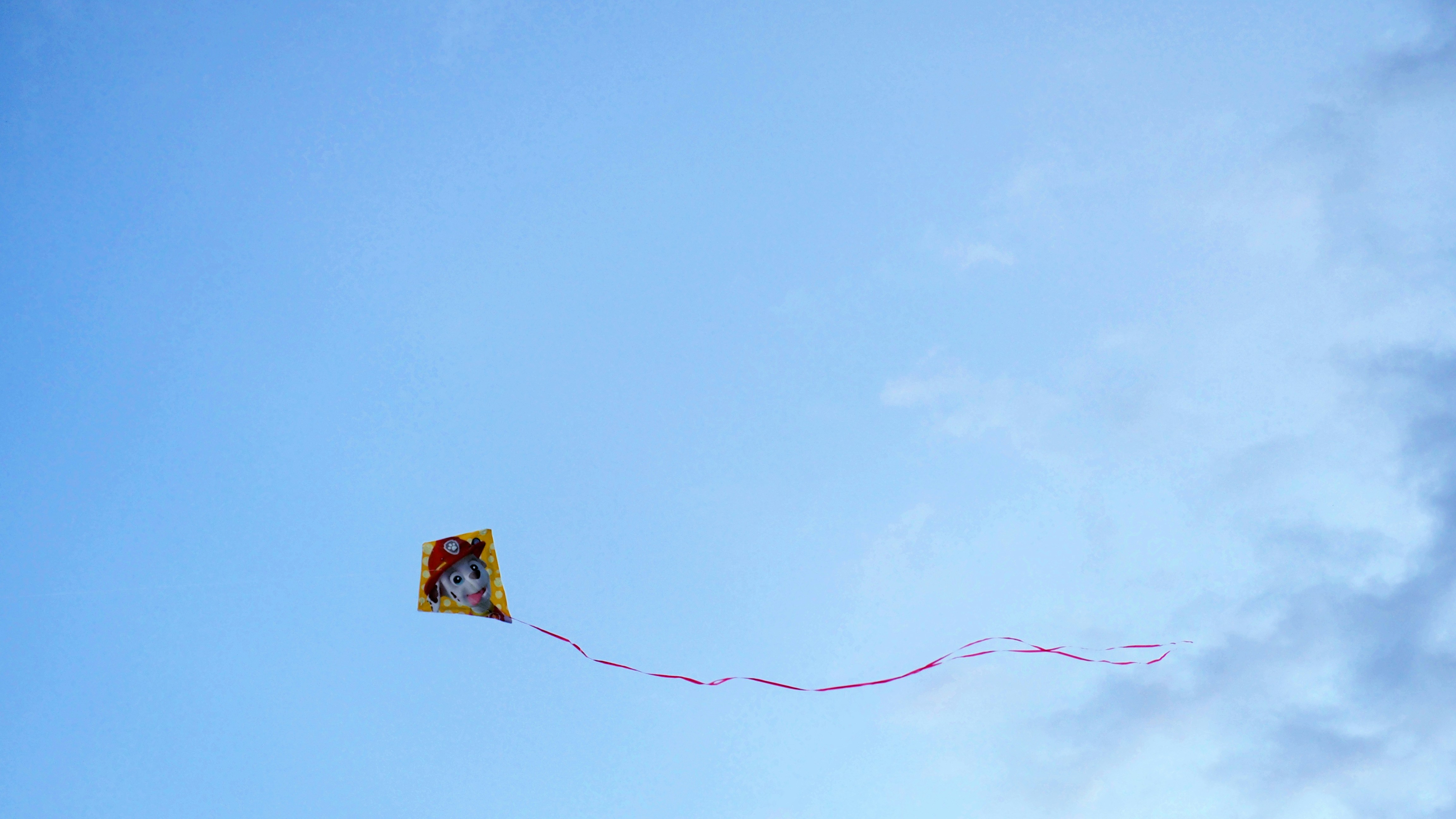 yellow and black bird on electric wire under blue sky during daytime