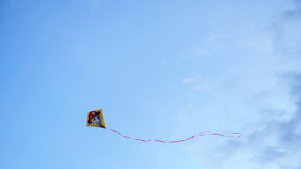 yellow and black bird on electric wire under blue sky during daytime