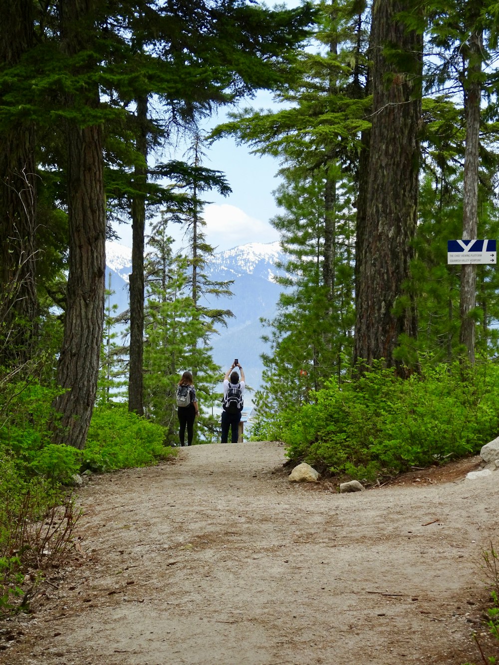 2 person walking on dirt road near green trees during daytime