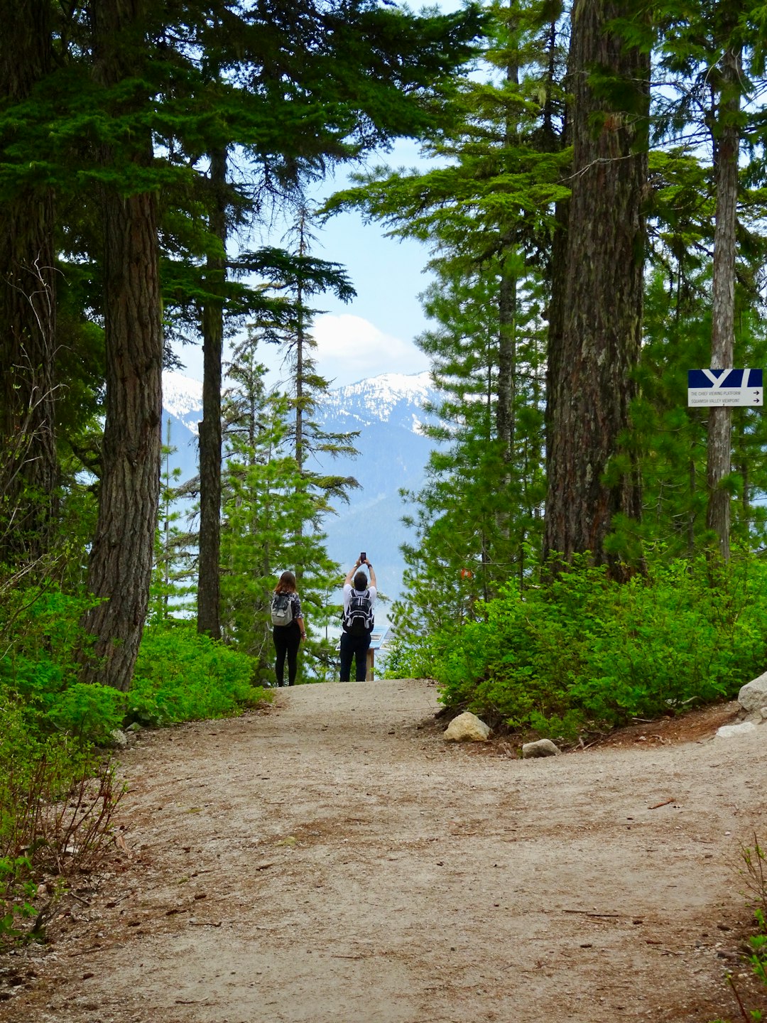 Forest photo spot Squamish-Lillooet Regional District Joffre Lakes Trail