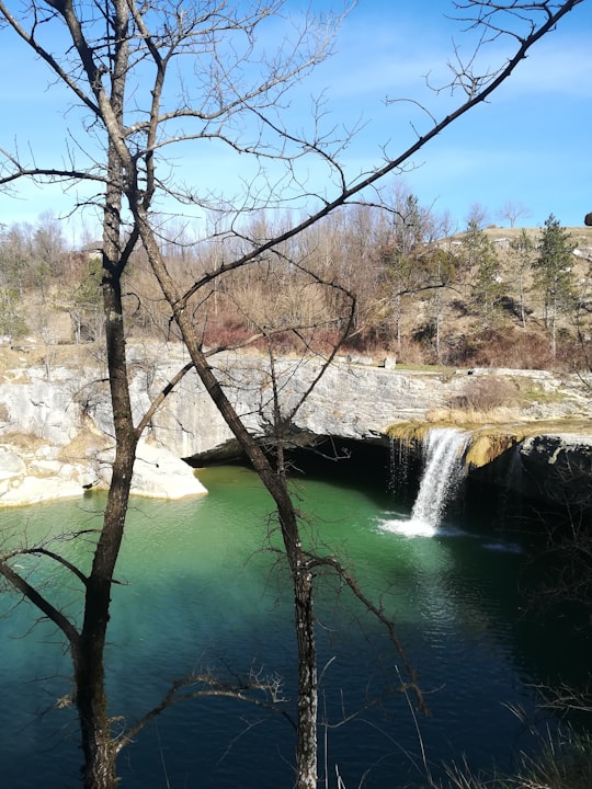 brown trees near river during daytime in Pazin Croatia