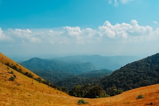 Rolling hills dotted with tall trees under a bright blue sky at johnland123.