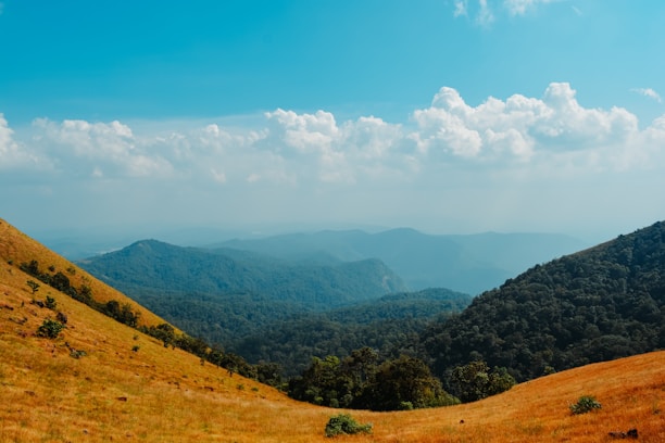 Rolling hills dotted with tall trees under a bright blue sky at johnland123.
