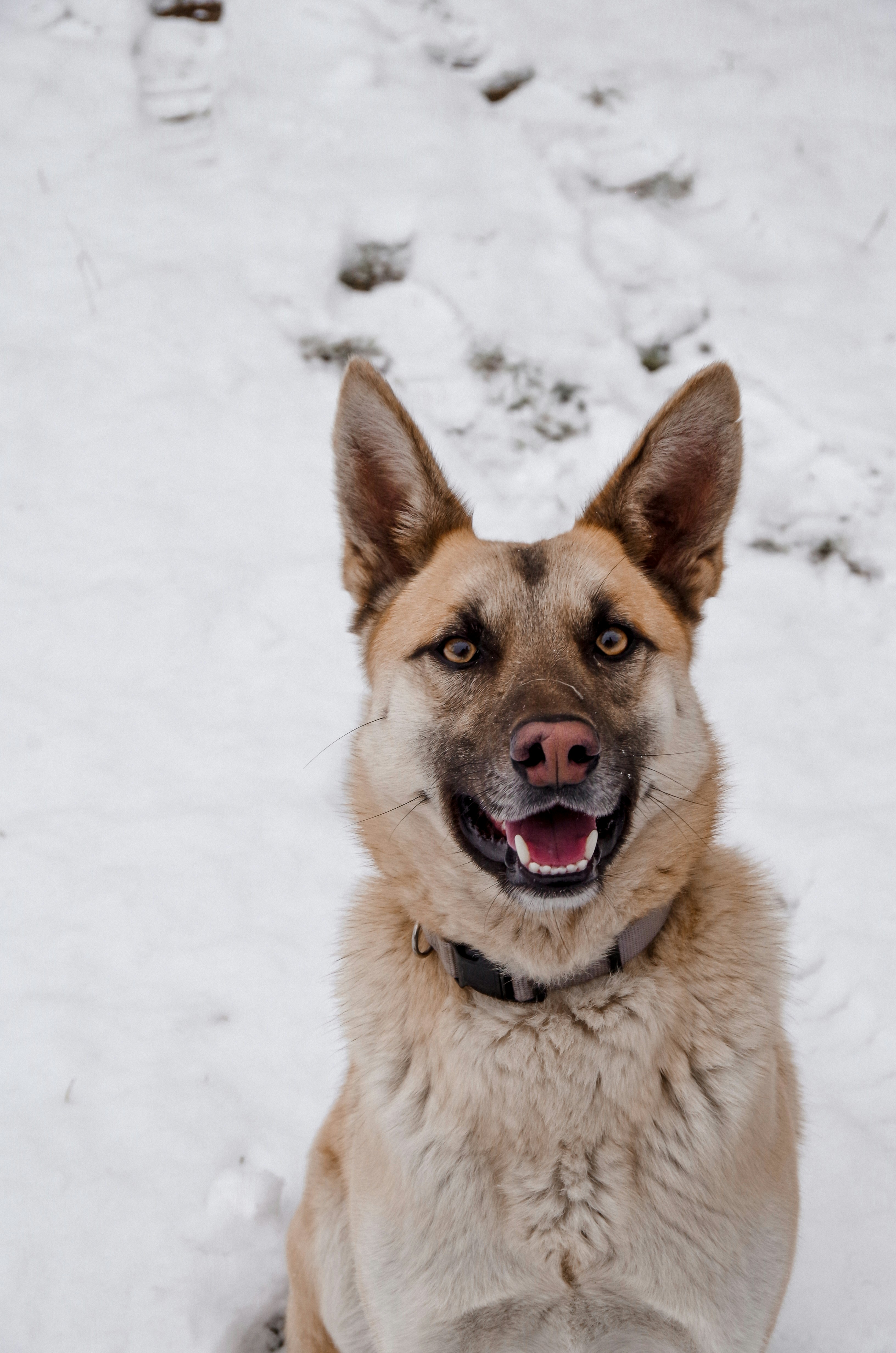 Photo by tatiannavoiset