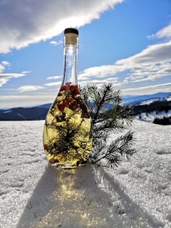 Frostguard spray bottle displayed against a snowy backdrop.